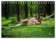 Thumbnail-12