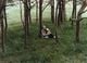 Thumbnail-4
