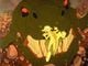 Thumbnail-9