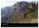 Thumbnail-11