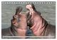 Thumbnail-14