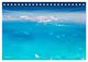 Thumbnail-10