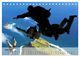 Thumbnail-8