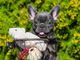 Thumbnail-4