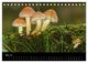 Thumbnail-10