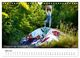 Thumbnail-9