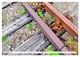 Thumbnail-11
