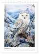 Thumbnail-11