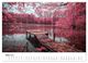 Thumbnail-8