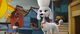 Thumbnail-11