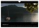 Thumbnail-14