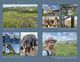 Thumbnail-9