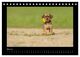 Thumbnail-10