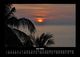 Thumbnail-10