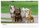Thumbnail-10
