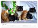 Thumbnail-9