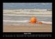 Thumbnail-12