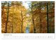 Thumbnail-13
