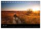 Thumbnail-9
