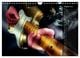 Thumbnail-13