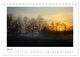 Thumbnail-12