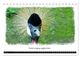Thumbnail-12
