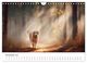 Thumbnail-13
