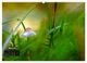 Thumbnail-10