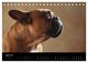 Thumbnail-9