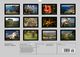 Thumbnail-13