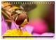 Thumbnail-9