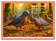 Thumbnail-12