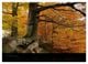 Thumbnail-14