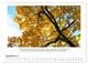 Thumbnail-13