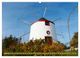 Thumbnail-11
