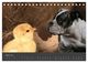 Thumbnail-9