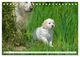 Thumbnail-8