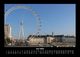 Thumbnail-10