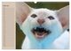 Thumbnail-11
