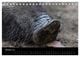 Thumbnail-12