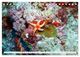 Thumbnail-14