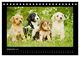 Thumbnail-14