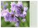 Thumbnail-9