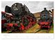 Thumbnail-12