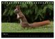 Thumbnail-10
