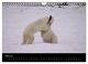 Thumbnail-10