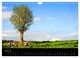 Thumbnail-8