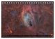 Thumbnail-14