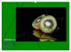 Thumbnail-14
