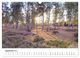Thumbnail-14
